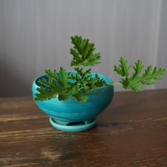 【陶器】トルコ青の植木鉢 2　送料無料 3枚目の画像