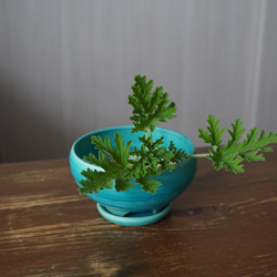 【陶器】トルコ青の植木鉢 2　送料無料 8枚目の画像
