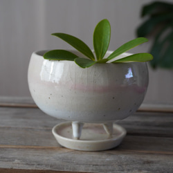 【陶器】ツヨアミセイコ様専用　ほんのりピンクと白の脚付き植木鉢①　　送料無料 2枚目の画像