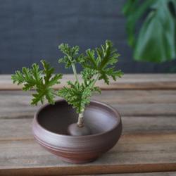 植物が長持ちする備前土の一輪挿し(お香たて)　加湿器にも　送料無料 2枚目の画像