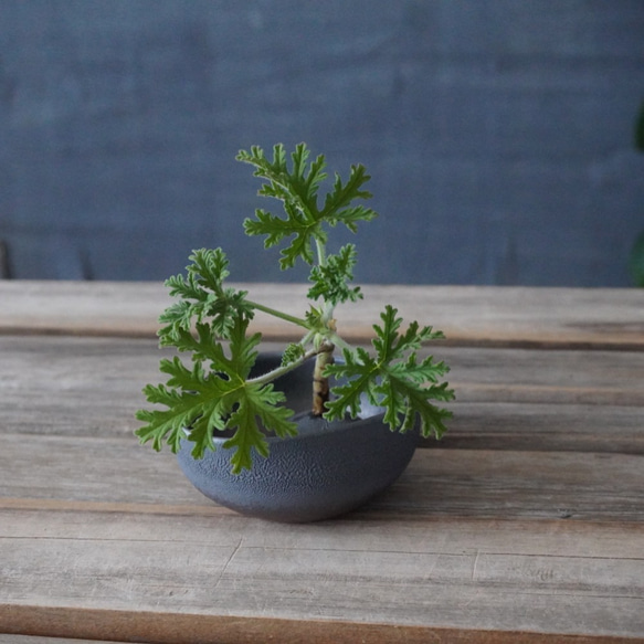 植物が長持ちする備前土の一輪挿し(お香たて)　加湿器にも　送料無料 1枚目の画像