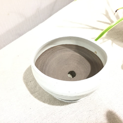 【陶器】白のオーバル脚付き植木鉢 受皿付き　送料無料 5枚目の画像