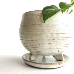 【陶器】白いオーバルの植木鉢 2枚目の画像