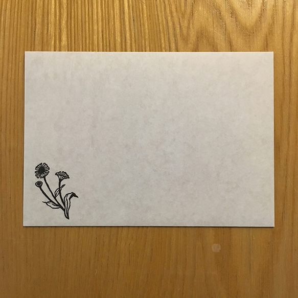 鳥と花ポストカード&封筒セット「ペラペラヨメナ」 4枚目の画像