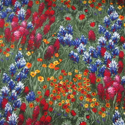 ♪コットン素材♪素敵な花畑柄♪マイケルミラーコレクションNo:183 1枚目の画像