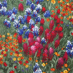 ♪コットン素材♪素敵な花畑柄♪マイケルミラーコレクションNo:183 9枚目の画像