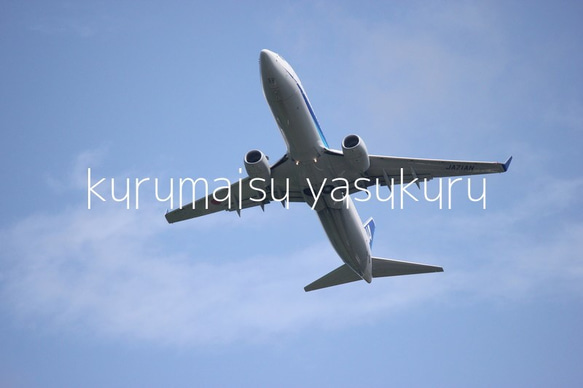 鹿児島空港飛行機ANA５６ 1枚目の画像
