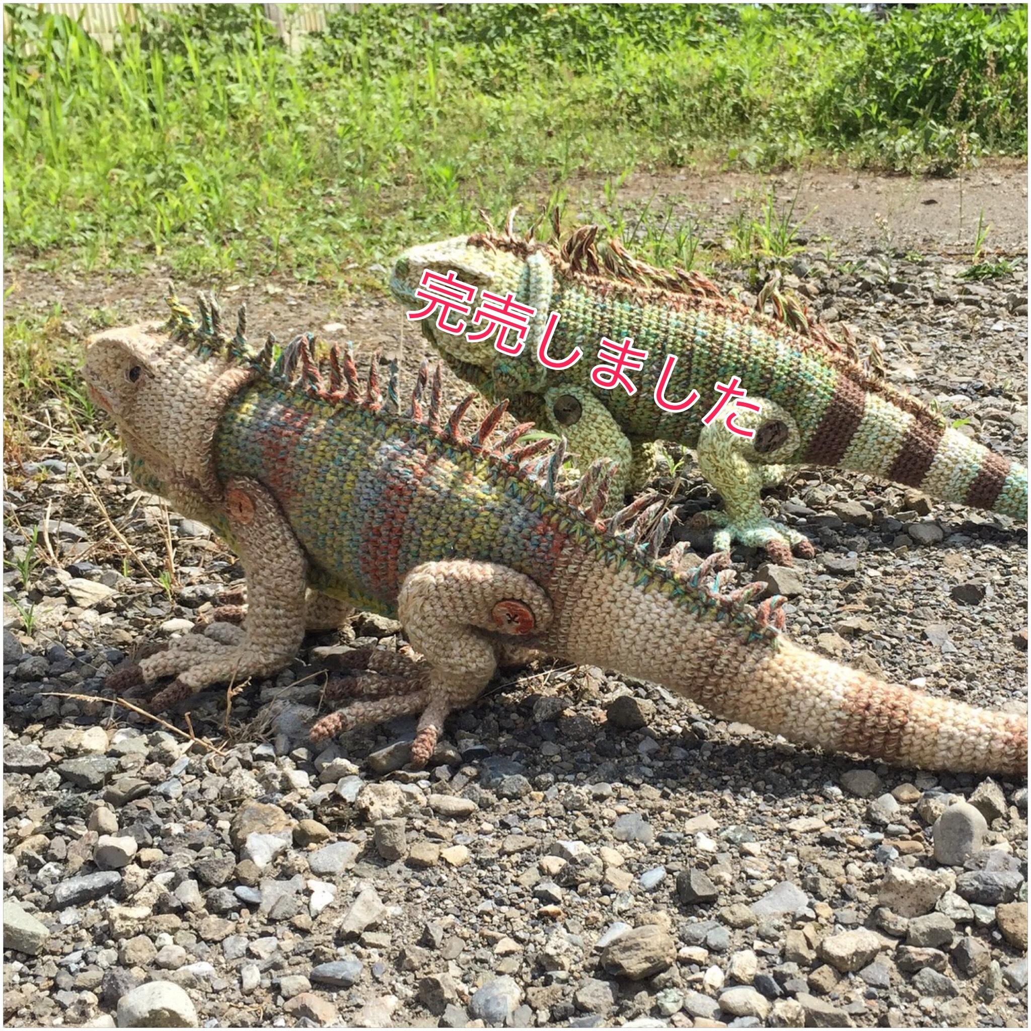 イグアナ 着ぐるみ 41DRR2k9APL.jpg_BO30,255,255,
