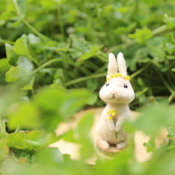 ミモザが華やぐ　クリーム色のウサギさん 1枚目の画像