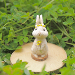 帶有華麗含羞草的奶油色兔子 第5張的照片