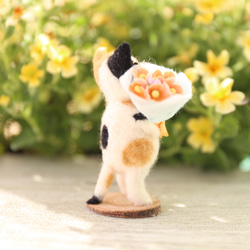 貓的花園花束 Mike-chan 第2張的照片