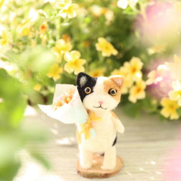 貓的花園花束 Mike-chan 第4張的照片