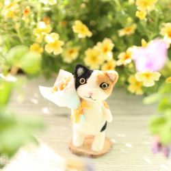 貓的花園花束 Mike-chan 第7張的照片
