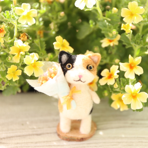 貓的花園花束 Mike-chan 第9張的照片