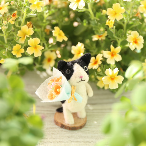 貓的花園花束 Hachiware 第6張的照片