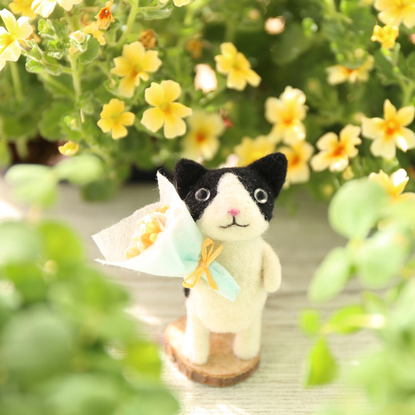 貓的花園花束 Hachiware 第7張的照片