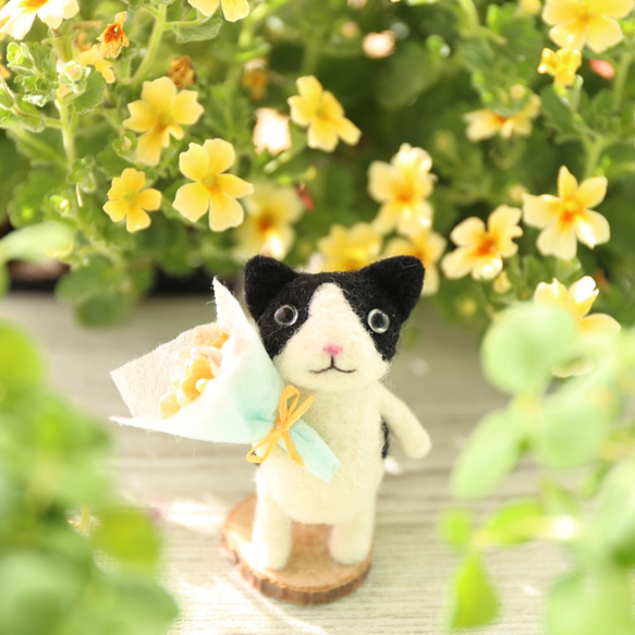 貓的花園花束 Hachiware 第9張的照片