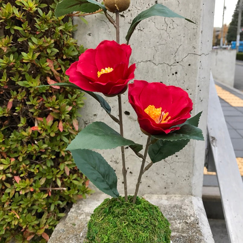 紅椿の苔玉(フェイクグリーン) アートフラワー まりも猫 通販 4975356