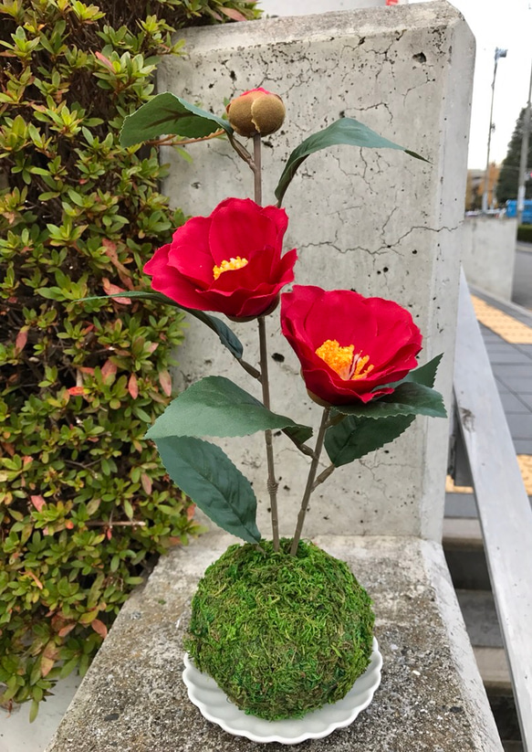 紅椿の苔玉(フェイクグリーン) アートフラワー まりも猫 通販 4975356
