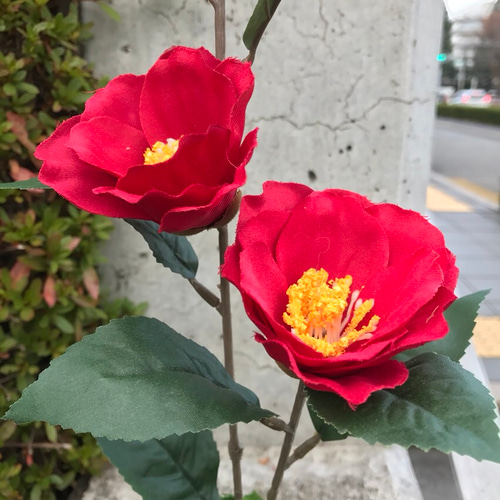 紅椿の苔玉(フェイクグリーン) アートフラワー まりも猫 通販 4975356