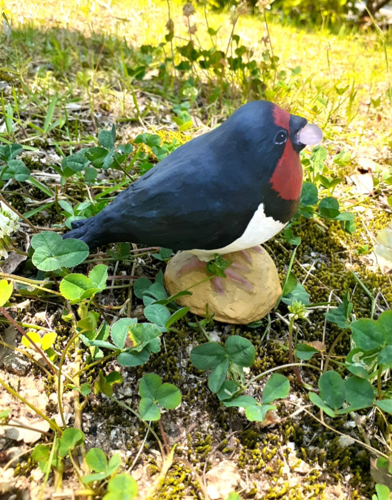 幸福なツバメちゃん
