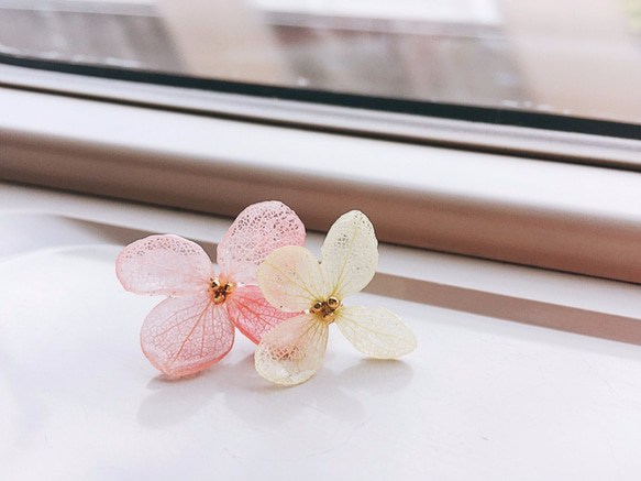 氣質花朵-繡球花/紫陽花不凋花UV膠耳環-一粉一綠(可改夾式) 第1張的照片