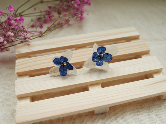 氣質花朵-繡球花/紫陽花不凋花UV膠耳環-雙朵藍白(可改夾式) 第4張的照片