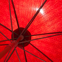 日傘　de　着物　赤麻の葉 5枚目の画像