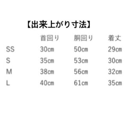  第7張的照片