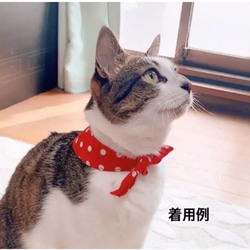 ¥1100→¥600 猫用鈴付きリボンバンダナ首輪(魚字・花火) 5枚目の画像