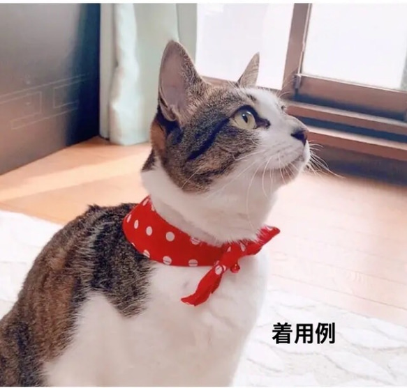 ¥1100→¥600 猫用鈴付きリボンバンダナ首輪(魚字・花火) 5枚目の画像