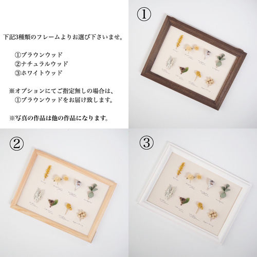 【魔女の棲む森～plant specimen～】ドライフラワー 植物標本 カード 魔女の棲む森～plant specimen～】ドライフラワー 植物標本 カード