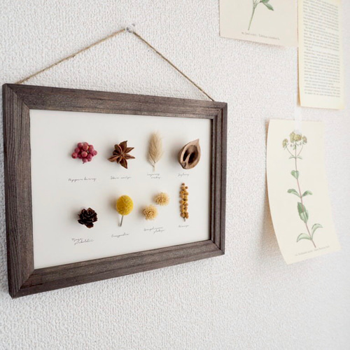 魔女の棲む森～plant specimen～】ドライフラワー 植物標本 カード