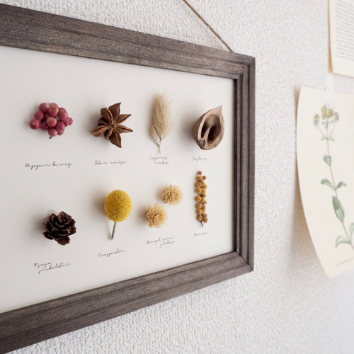 魔女の棲む森～plant specimen～】ドライフラワー 植物標本 カード