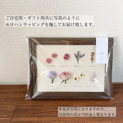 森の実り-植物標本 #6 Botanical標本 植物図鑑 ドライフラワー