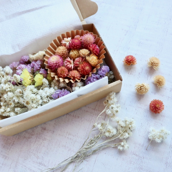 【ハンドメイド花材】白花ハハコグサとカラフルヘッド花材のセット 4枚目の画像