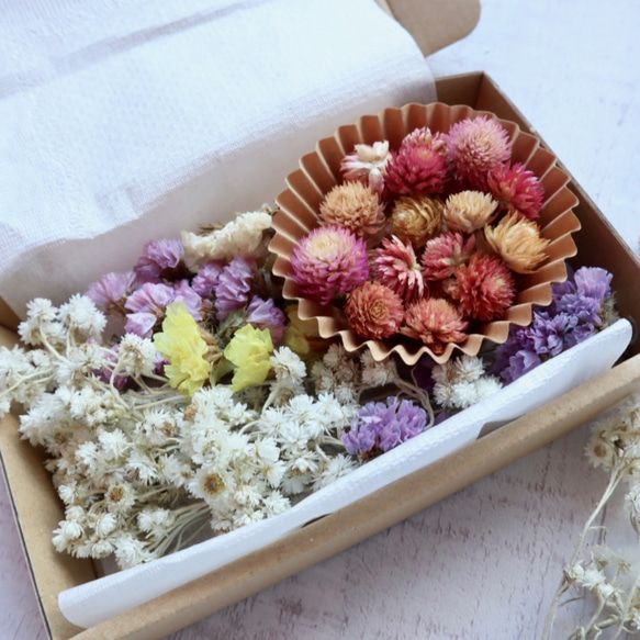 【ハンドメイド花材】白花ハハコグサとカラフルヘッド花材のセット 5枚目の画像