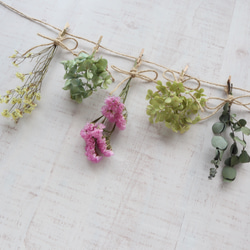 5種類のお花のドライフラワーガーランド 2枚目の画像