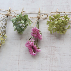 5種類のお花のドライフラワーガーランド 6枚目の画像