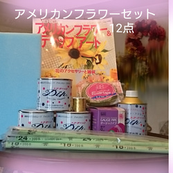 初心者10点セット、説明本とディップアート材料 レジン・樹脂 capri