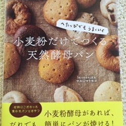 出版記念期間終了につき、＊条件なし。酵母付きパンセット＊ 1枚目の画像