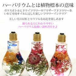 桜ハンドメイド☆春を感じる新桜のハーバリウム　2本セット　一年中飾れるアーティフィシャルフラワー 3枚目の画像