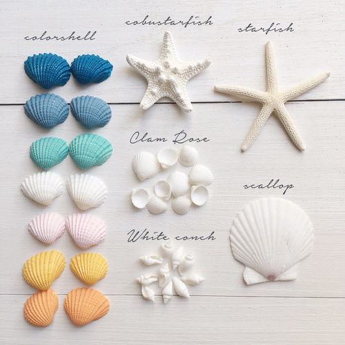 貝殻 Amazon.co.jp: 【貝殻の問屋さん】貝殻セット ミックスシェル（約10