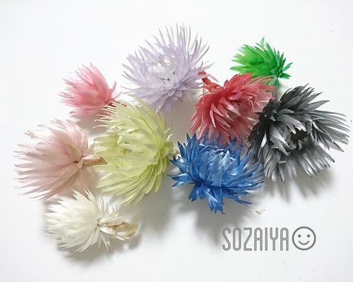 シルバーデイジー ヘッド5輪 ミックス ドライフラワー 花材