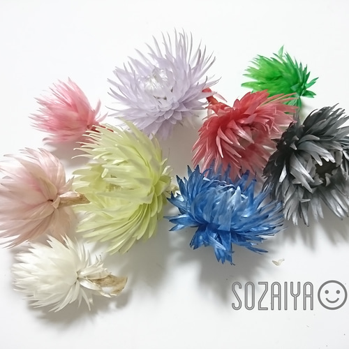 シルバーデイジー ヘッド5輪 ミックス ドライフラワー 花材