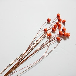 スターフラワー 茎付き 15個+2 ダークオレンジ ドライフラワー 3枚目の画像