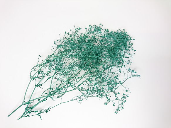 かすみ草 つぼみ ２ｇ グリーン プリザーブドフラワー 2枚目の画像
