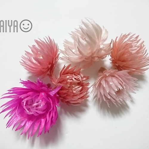 ドライフラワー ホワイトグリーンミニスワッグ紙袋花材おまかせ｜ティダフラワー