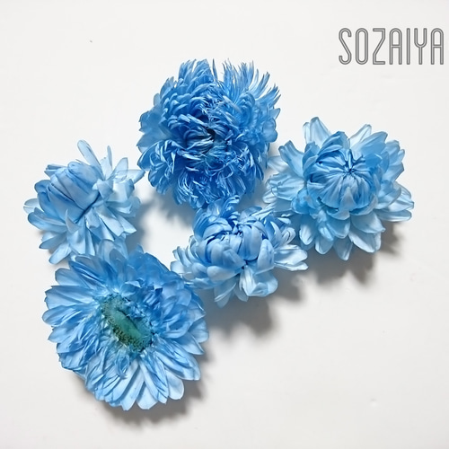 ヘリクリサム ヘッド 5輪 ブルー ドライフラワー その他素材 sozaiya