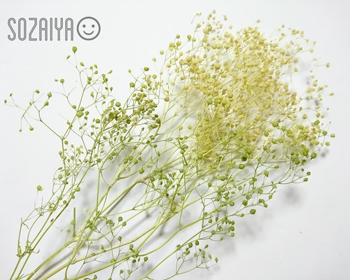 1_6001ac6d3781076a9726b5da88bf